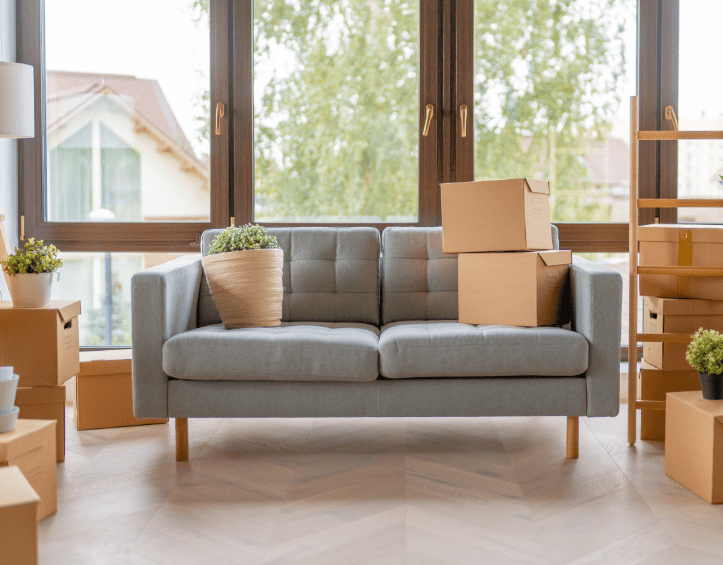 6 store fordeler ved å bruke profesjonelle fjerningstjenester